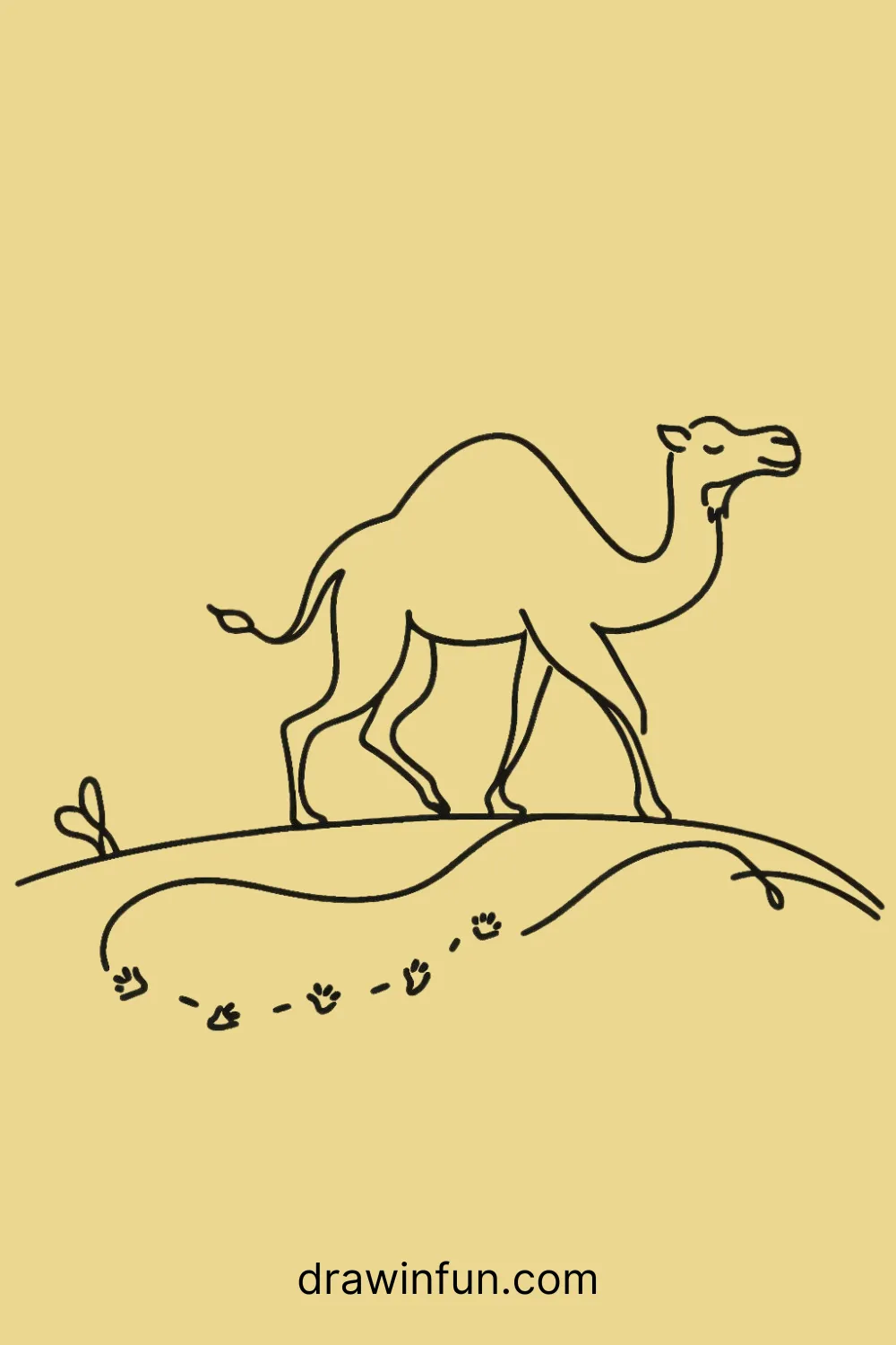 Camel walking with a trail of little footprints behind easy drawing