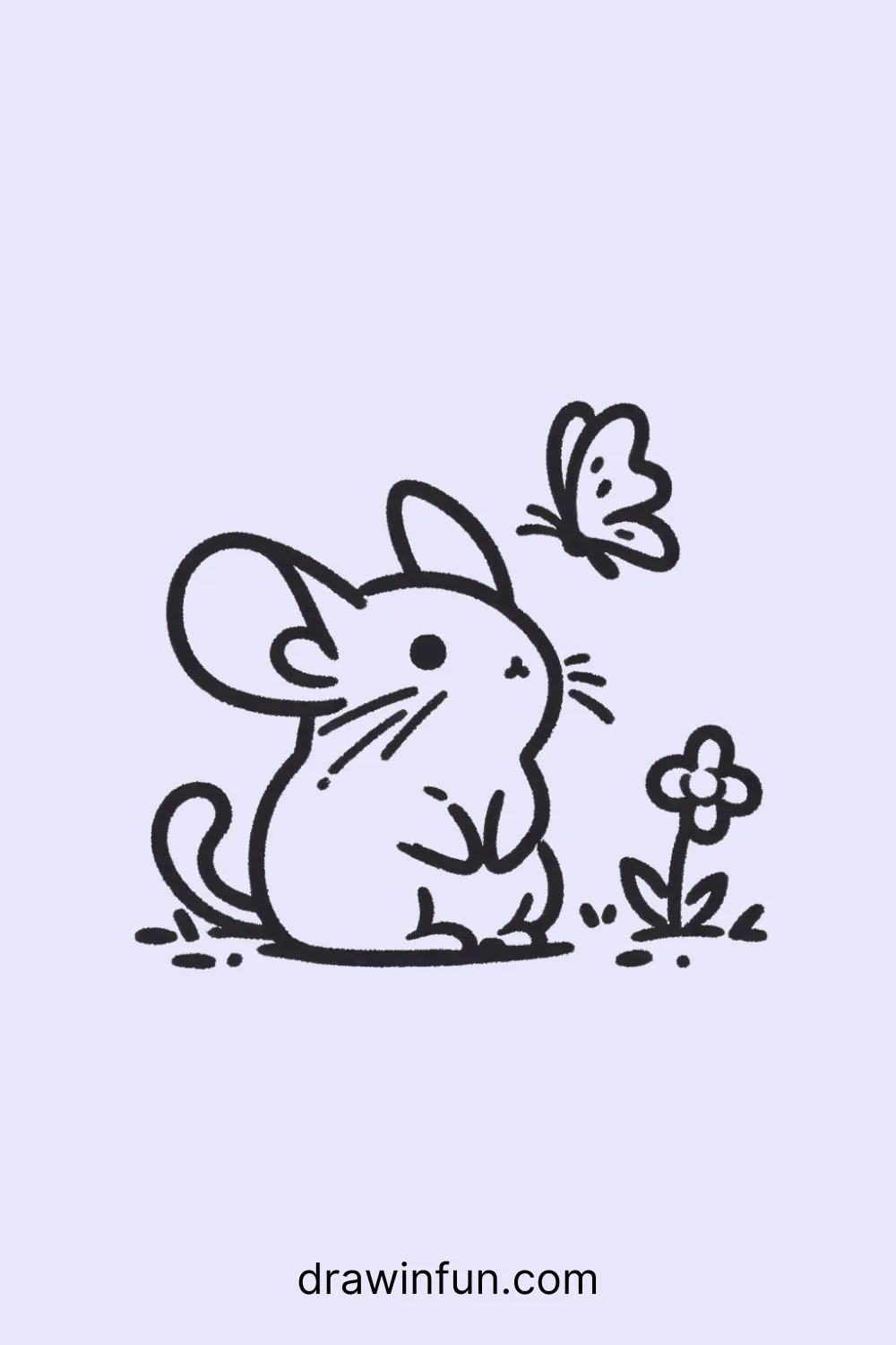 A chinchilla looking at a butterfly easy drawing