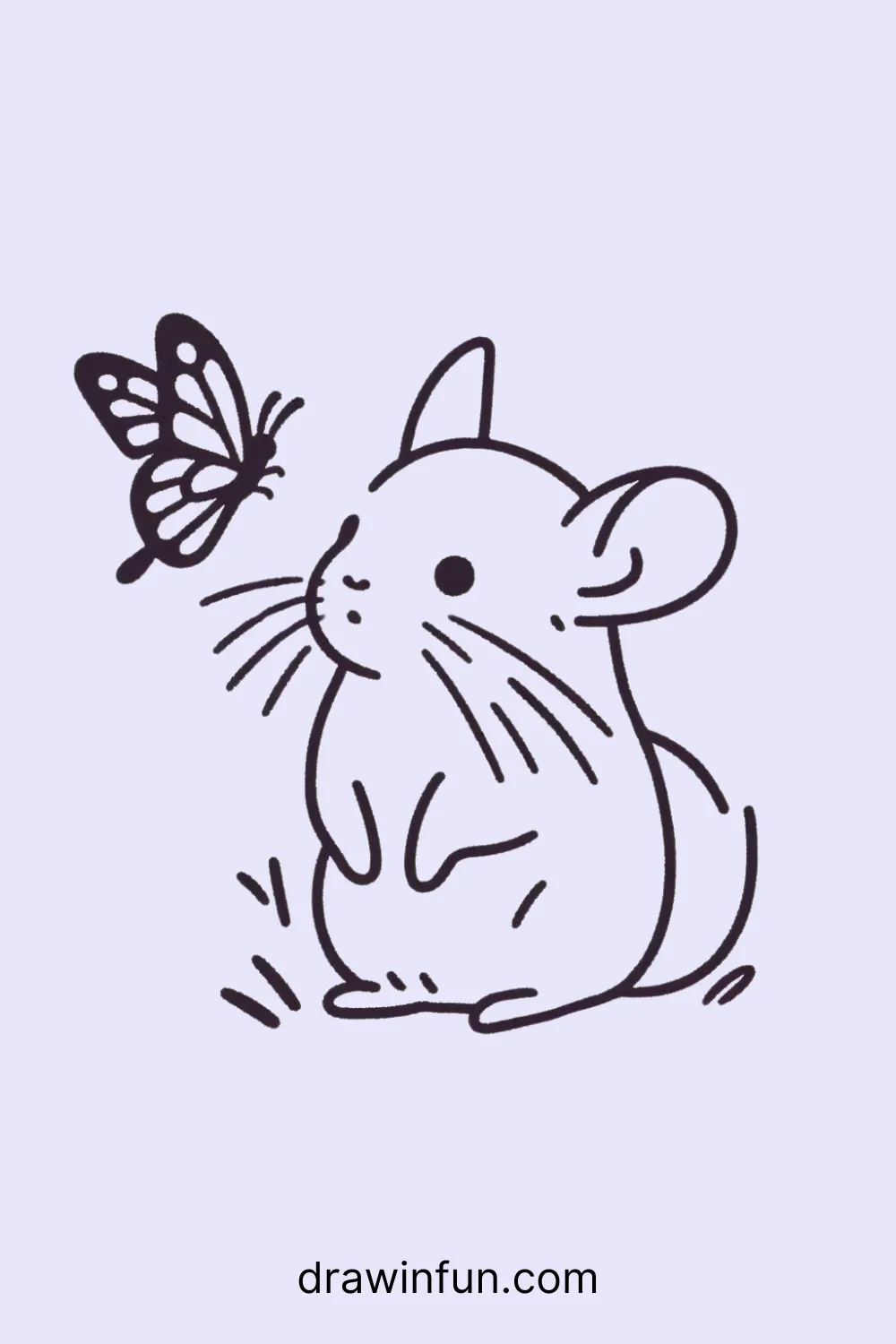 A chinchilla looking at a butterfly easy drawing