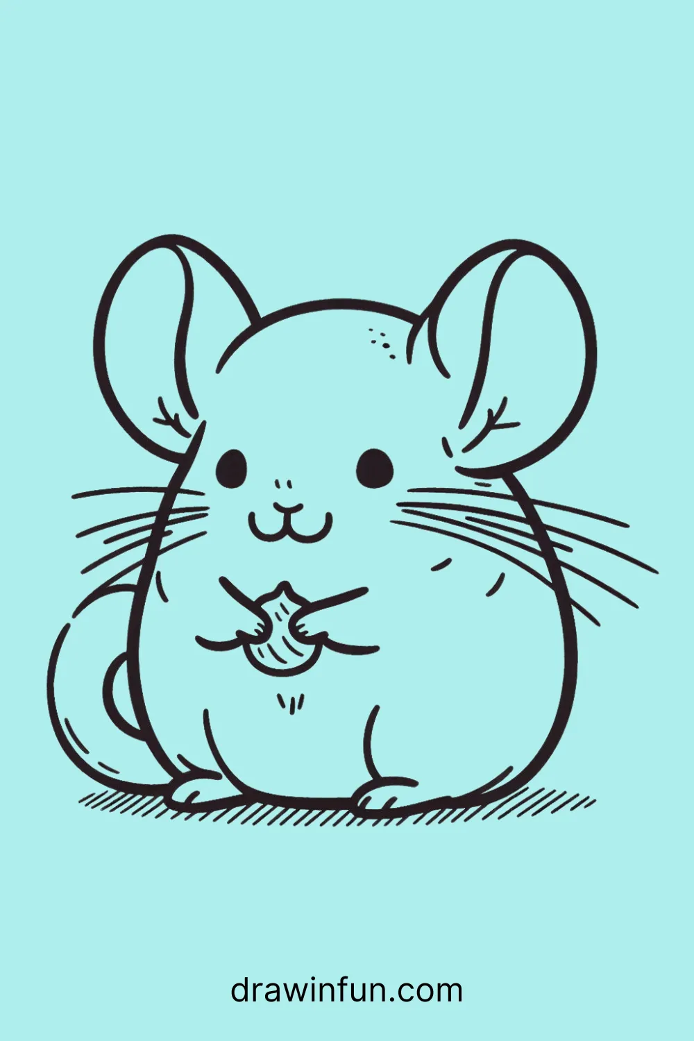 A chinchilla holding a tiny nut easy drawing