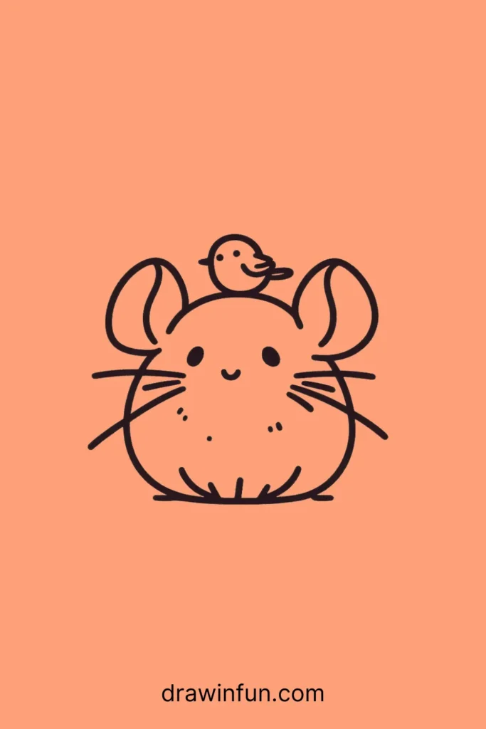 A chinchilla with a tiny bird easy drawing