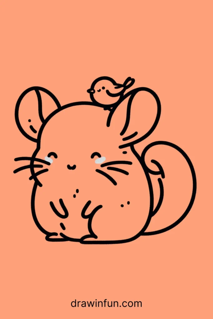 A chinchilla with a tiny bird easy drawing