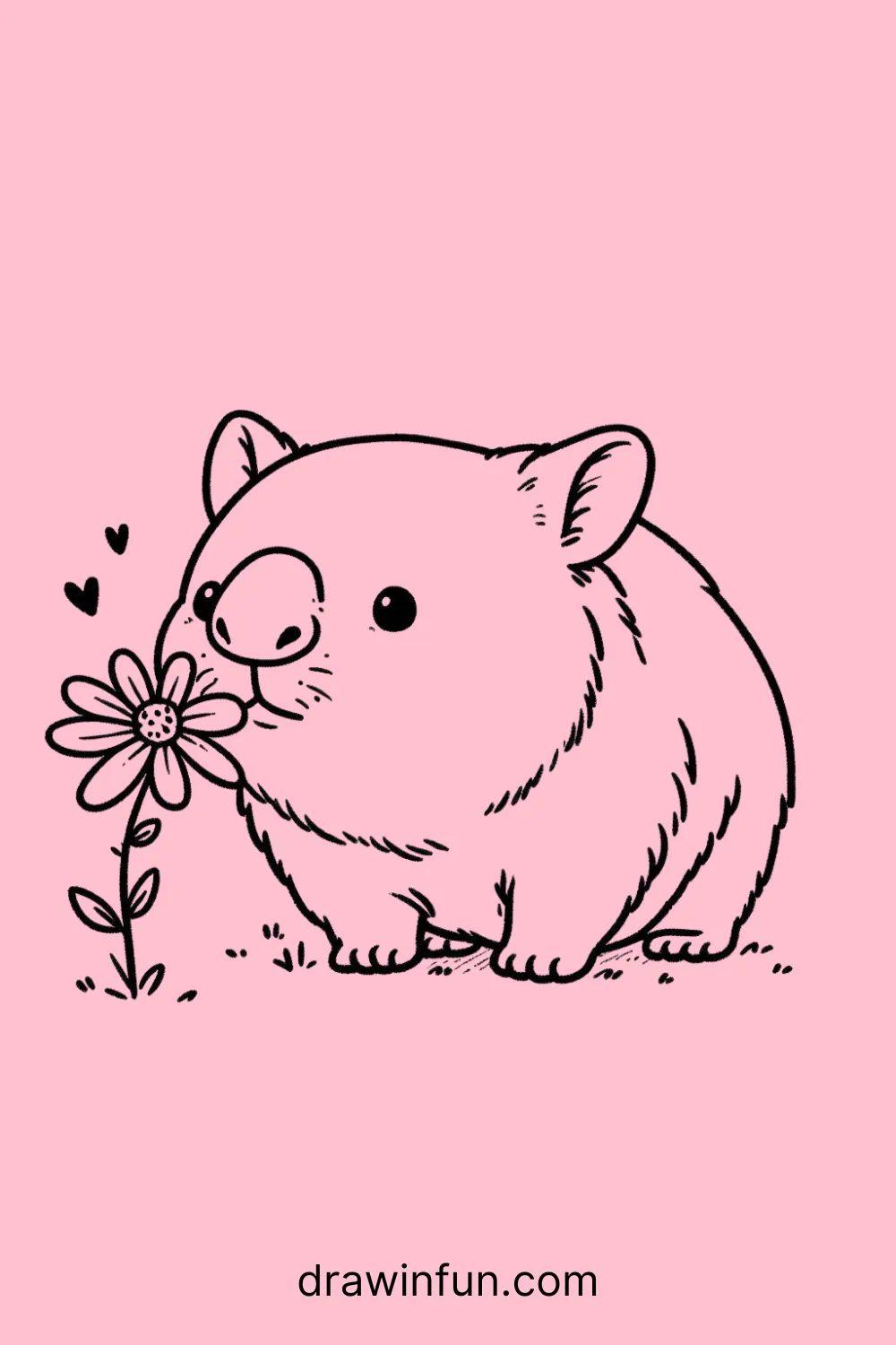 A wombat sniffing at a flower easy drawing