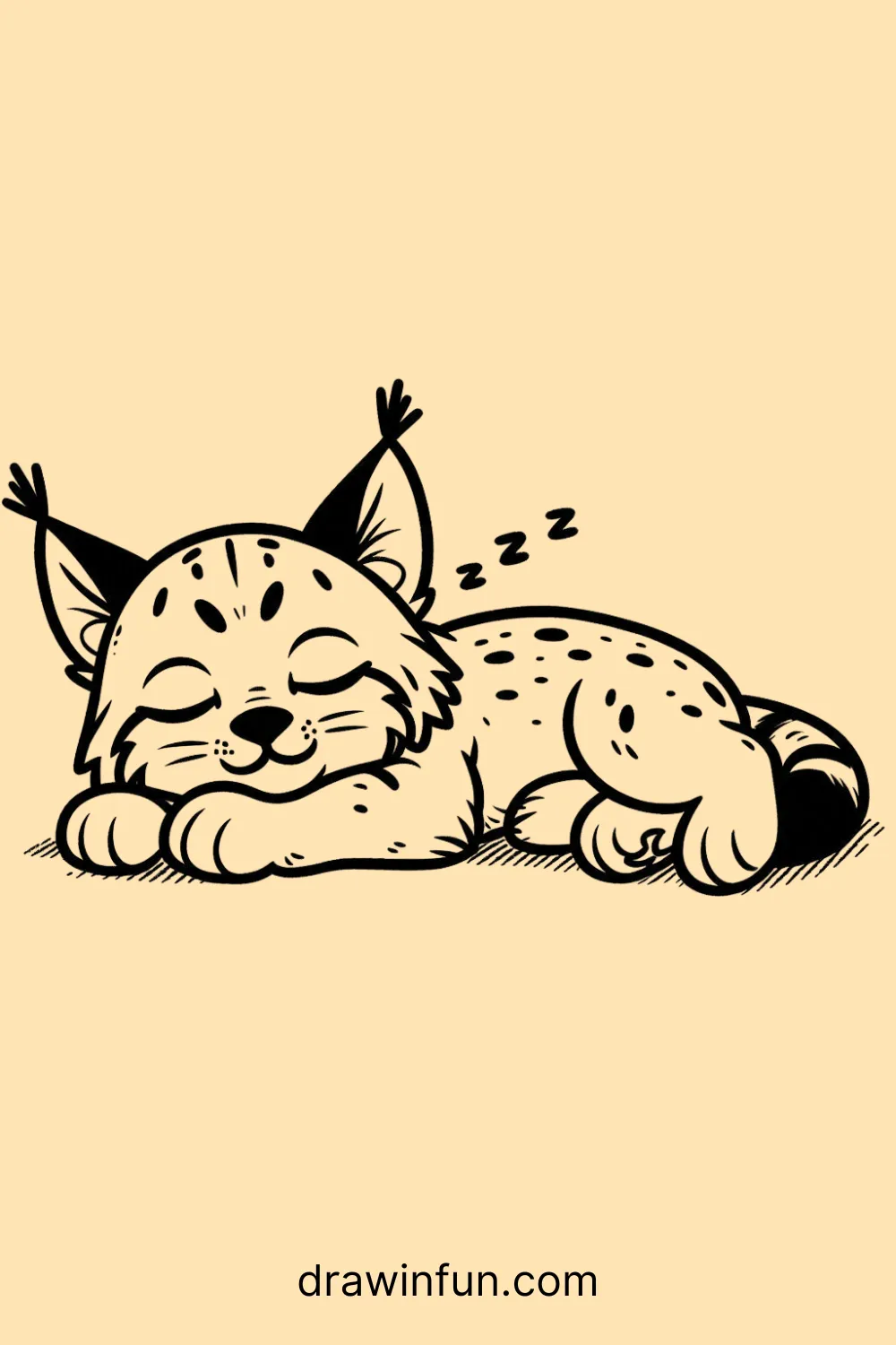 Lynx sleeping easy drawing