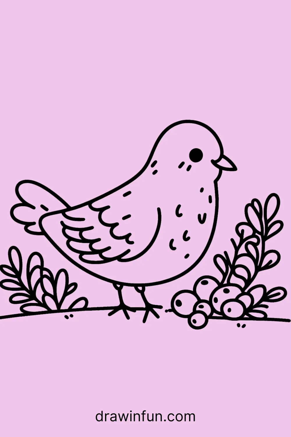 Pigeon with a Berry Bush easy drawing