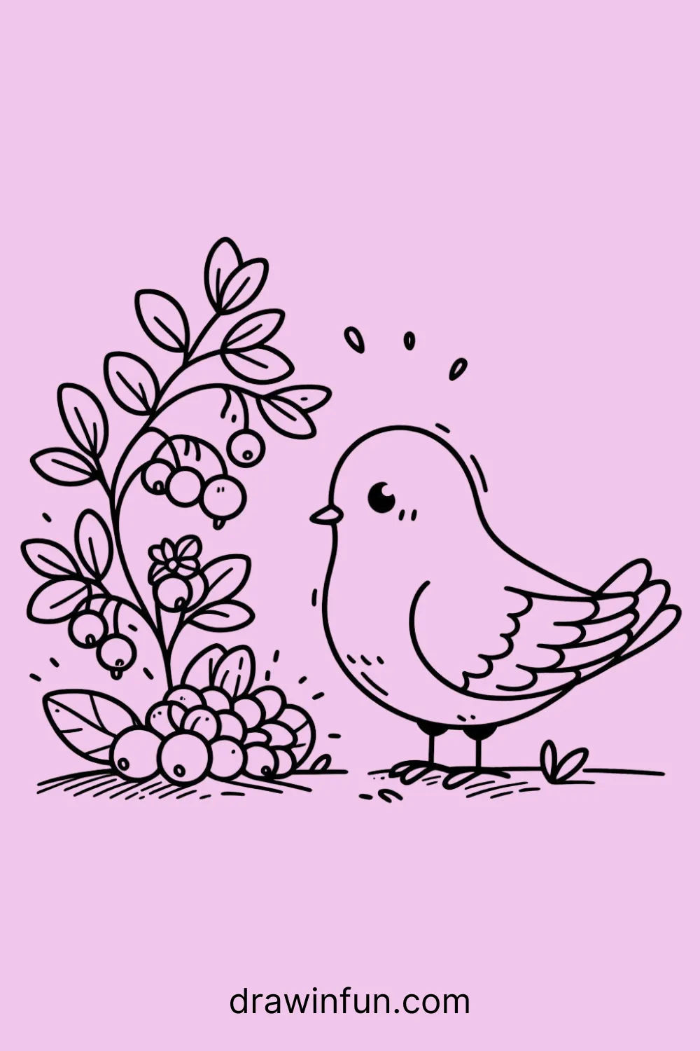 Pigeon with a Berry Bush easy drawing